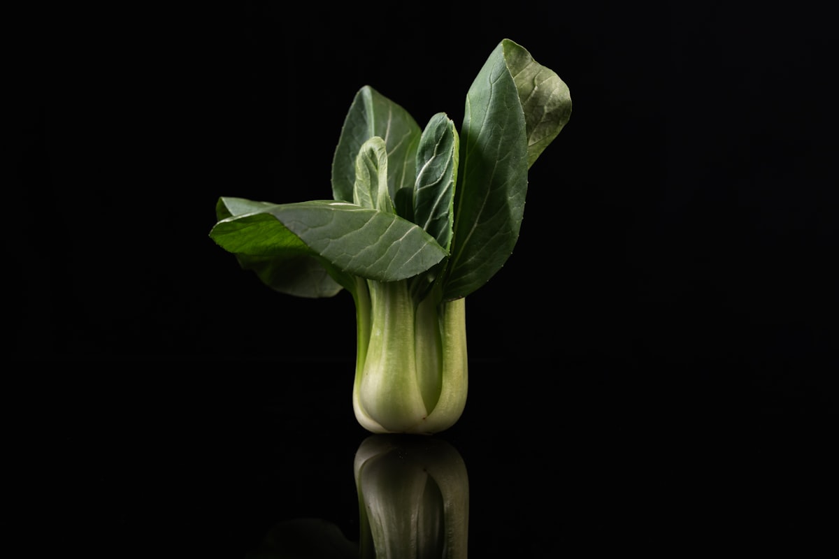 Petr Svoboda